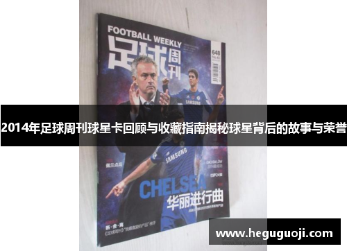 2014年足球周刊球星卡回顾与收藏指南揭秘球星背后的故事与荣誉